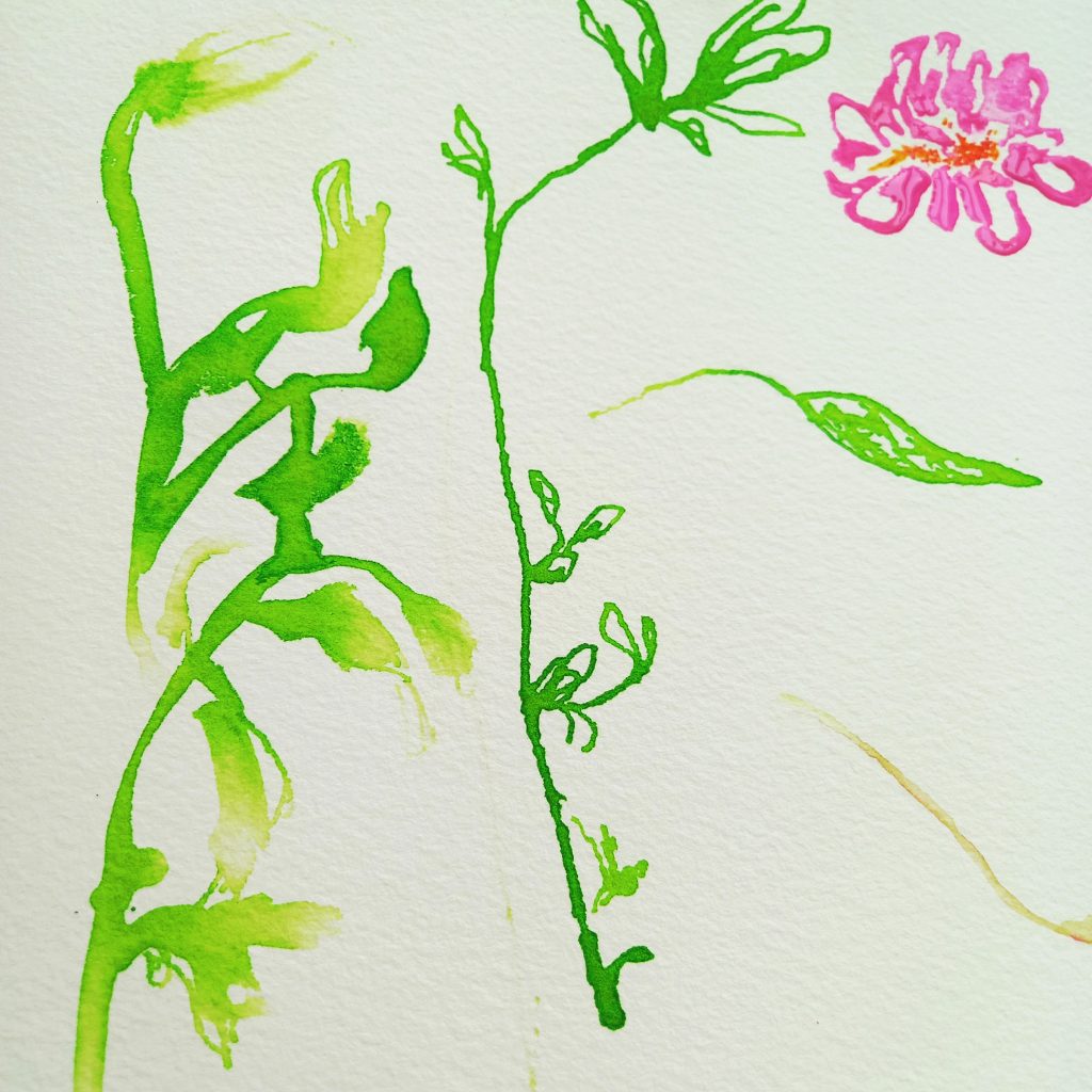 Dessin de © Min Ji Cho, fleur et feuilles sur tige